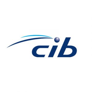 Insurance_cib